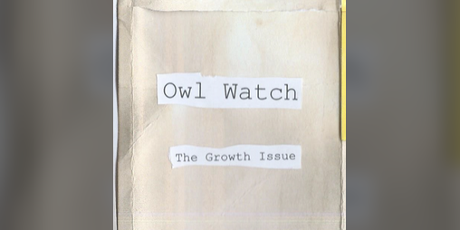 Cover image for Owl Watch January 2024
