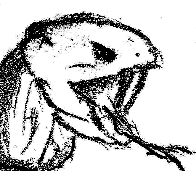Cover image for Return to Perinthos: Apophis' Children