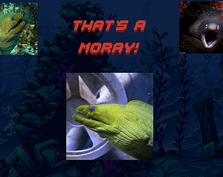 That's a Moray!