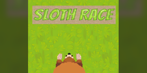 Cover image for SlothRace
