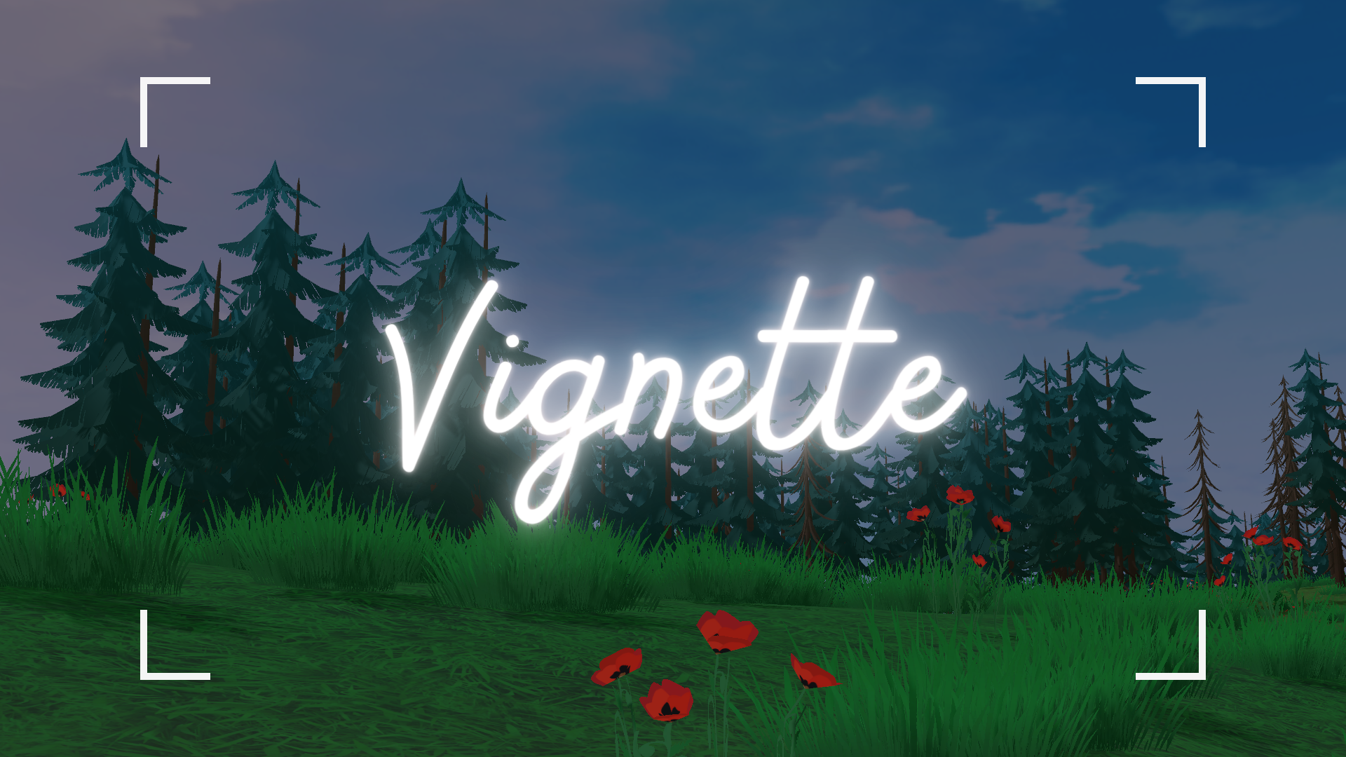 Vignette