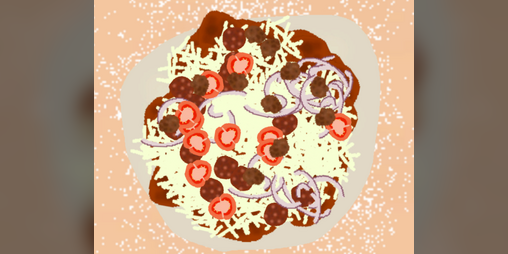 Cover image for Pizzaspillet