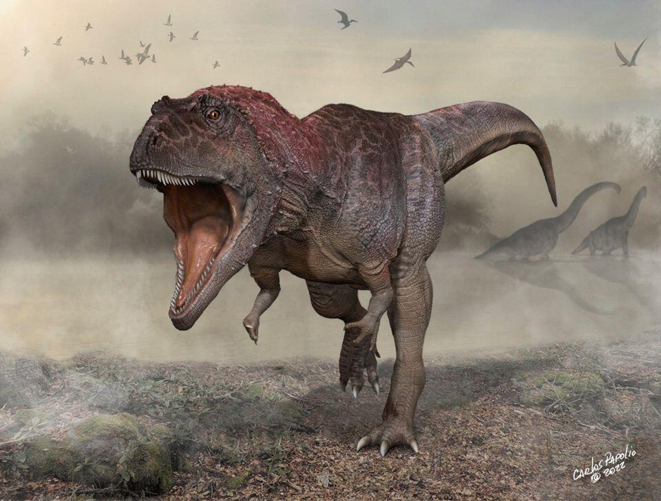 Cover image for dinodoom