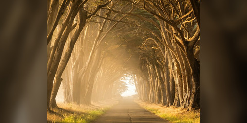 Cover image for Walking Meditation LARP
