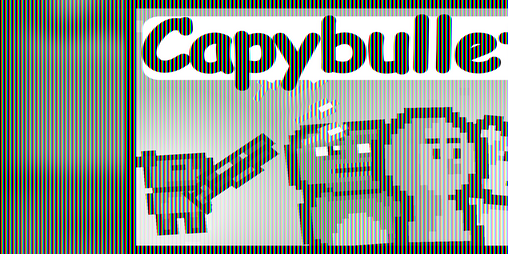Cover image for Capybullet