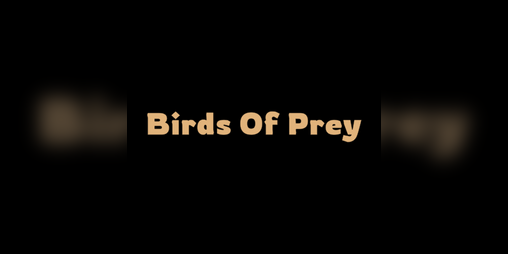 Cover image for Birds Of Prey
