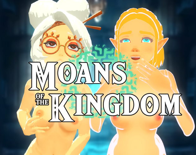 Cover image for Zelda : Moans of the kingdom
