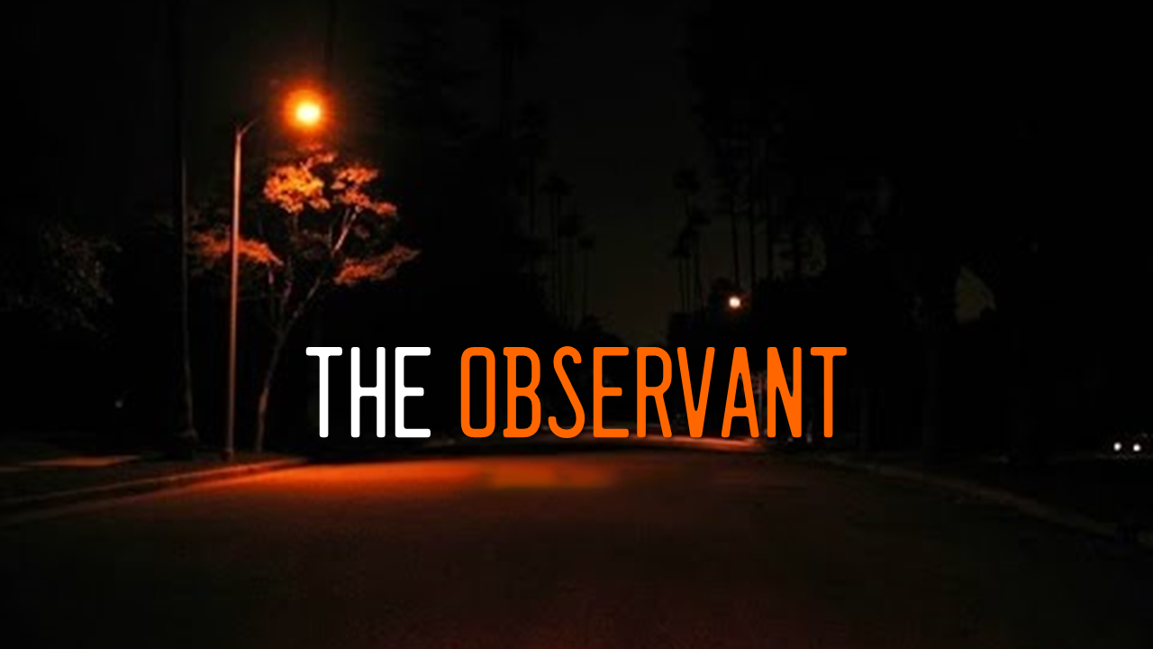 Cover image for The Observant