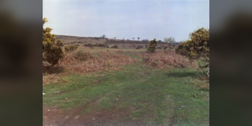 Cover image for How Not To Be Seen
