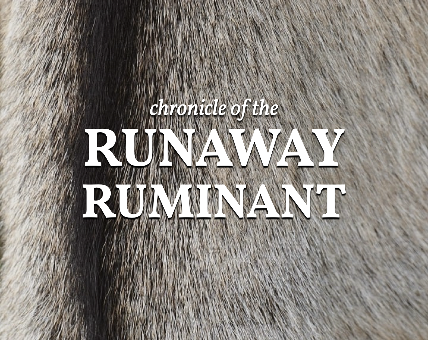 Cover image for Chronicle of the Runaway Ruminant