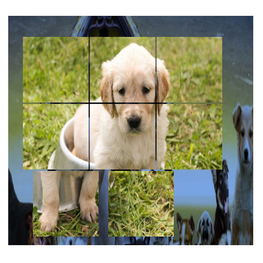 Android APK Puzle de perritos cachorros perros adultos niños