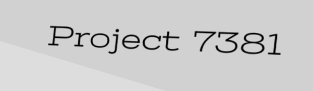 Project 7381