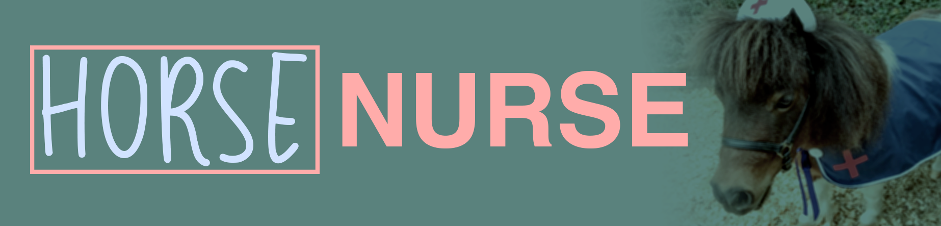 Horse Nurse