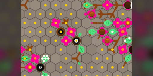 Cover image for Plant Evolution Royale