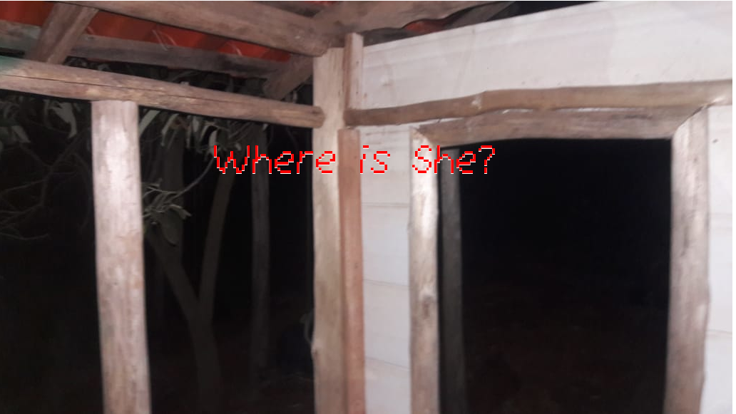 Where is She? Completed