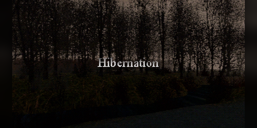 Cover image for Hibernation