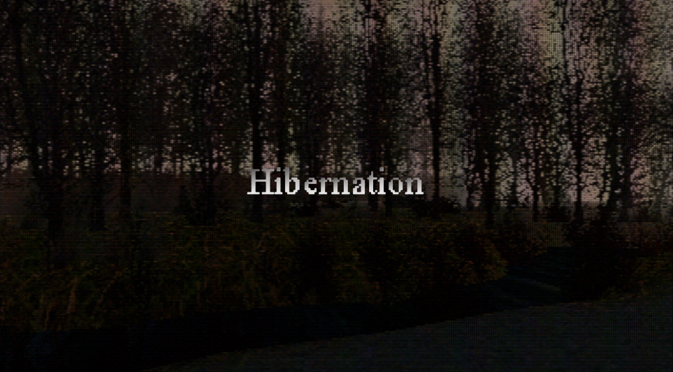 Hibernation cover