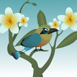 Guardabarranco Bird