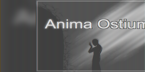 Cover image for Anima Ostium