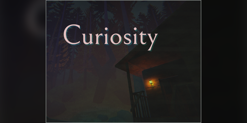 Cover image for Curiosity