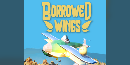 Cover image for Borrowed Wings