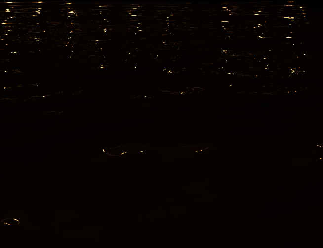 Cover image for Seaside