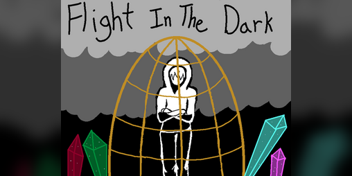 Cover image for Flight in the Dark
