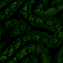 HircineHellion avatar