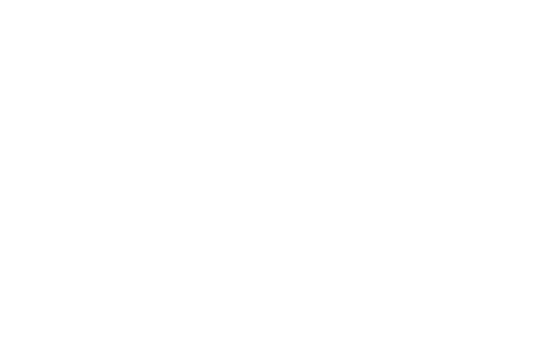 Shoot 'Em Down