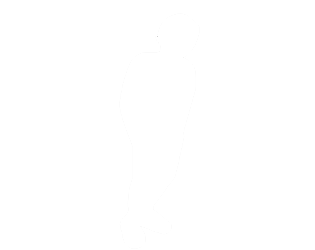 Cover image for underSC0RE