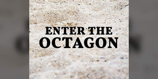 Cover image for Enter the Octagon