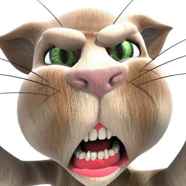 talking tom cat old version