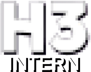 H3 Intern
