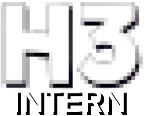 Cover image for H3 Intern