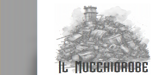 Cover image for Il Mucchiorobe