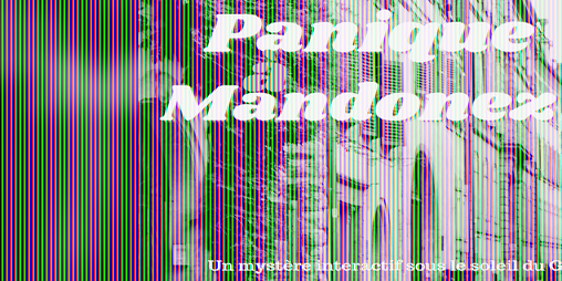 Cover image for Panique à Mandonez