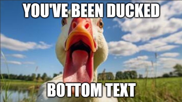 You've Been Ducked