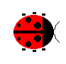 2D Ladybug