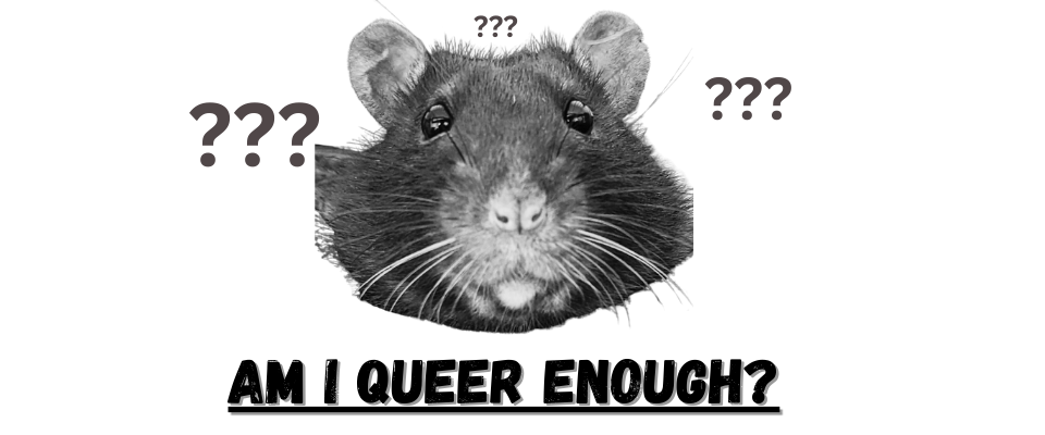 Am I Queer Enough?