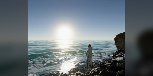 Cover image for The Rock Thrower