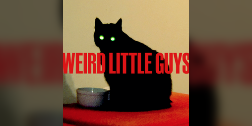 Cover image for Weird Little Guys