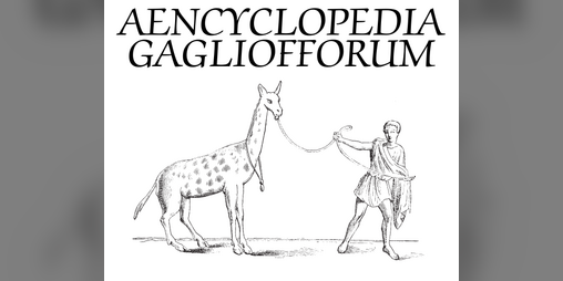 Cover image for Aencyclopedia Gagliofforum