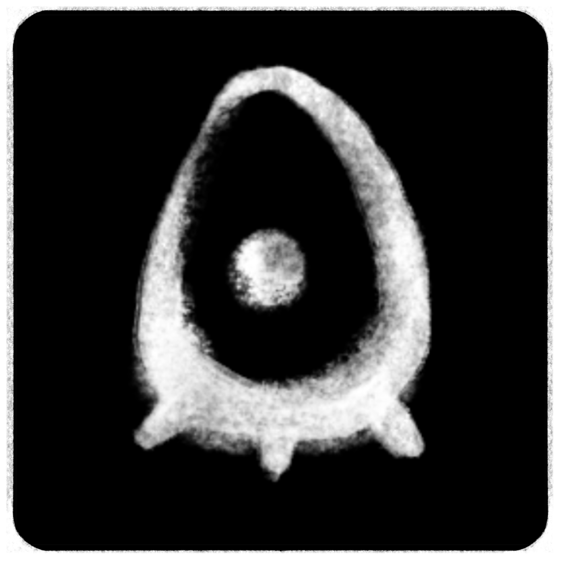 tis-ordained-by-codeblackproductions