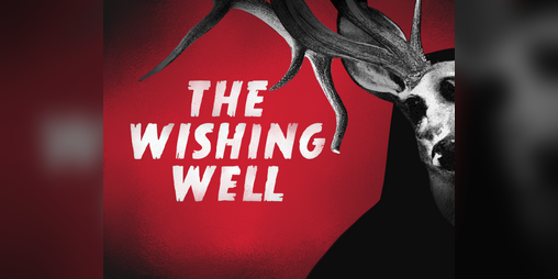 Cover image for The Wishing Well