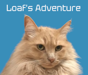 Cover image for Loaf's Adventure
