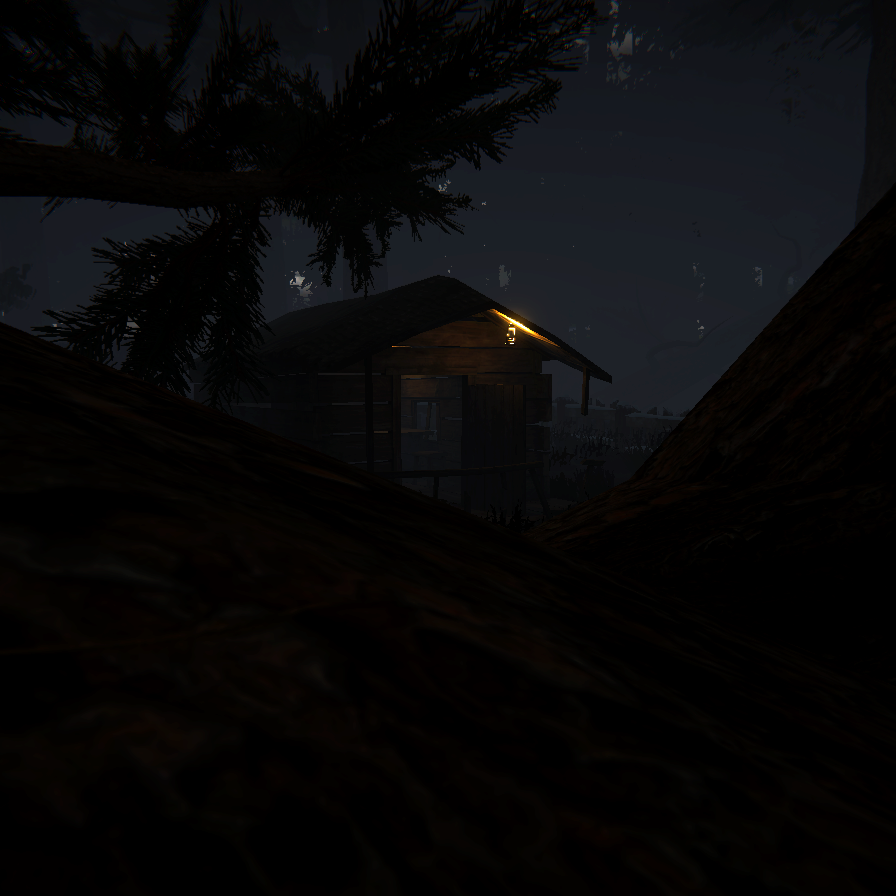 A night in the forest