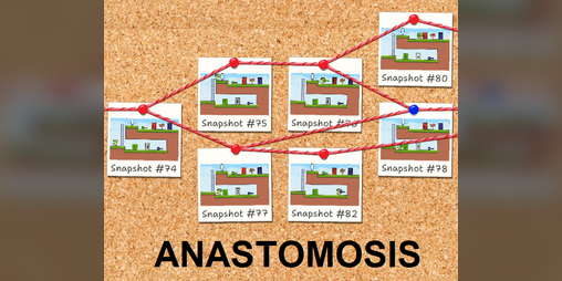 Cover image for Anastomosis