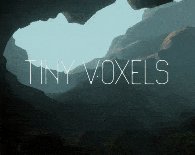 Cover image for Tiny Voxels