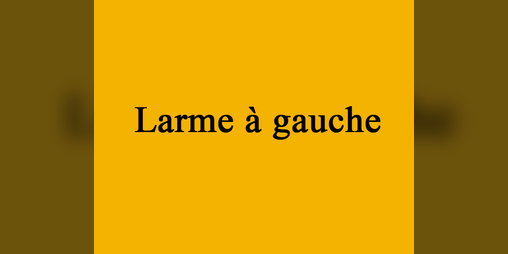 Cover image for Larme à gauche