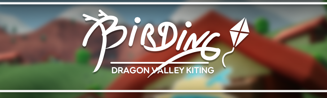 Birding: Dragon Valley Kiting